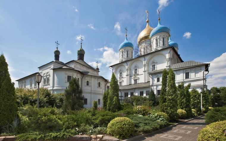 Новоспасский монастырь - вид 5